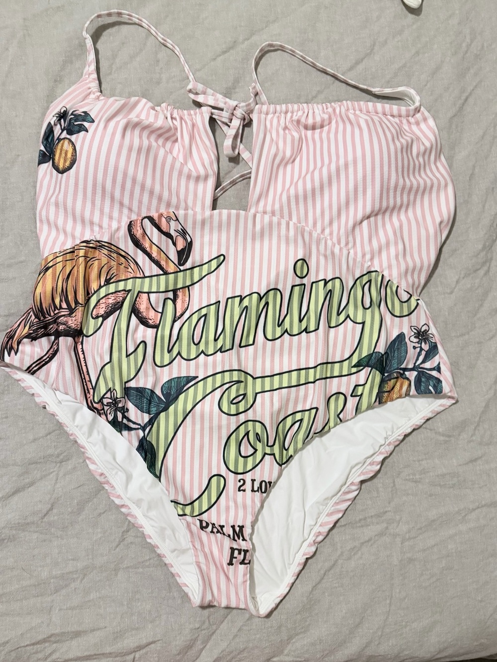 Flamingo Coast Pink Stripe One-Piece Swimsuit